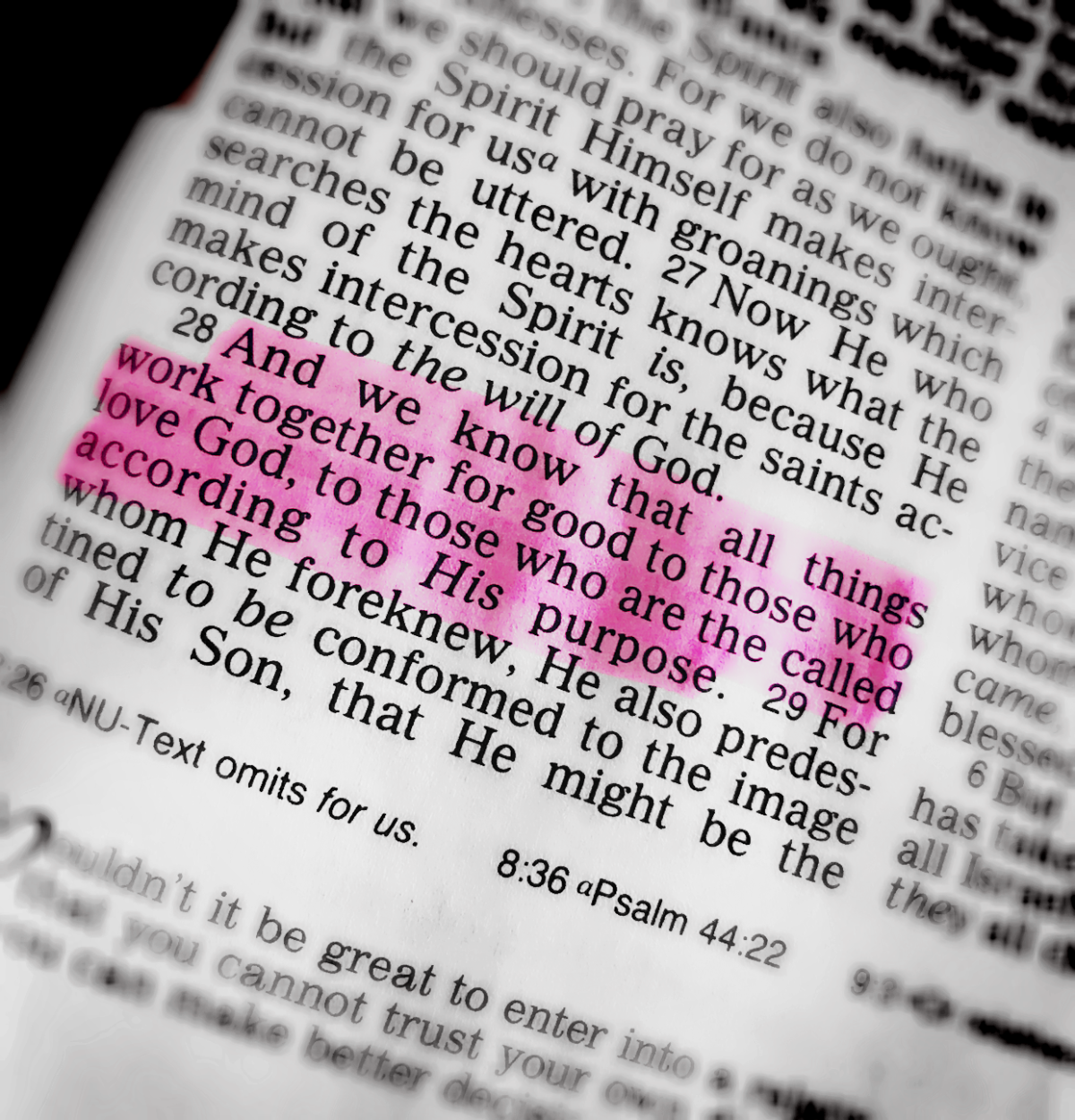Romans 8:28 (Part 2)